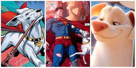 DC League of Super-Pets: 7 Things About Krypto The Movie Changes From ...