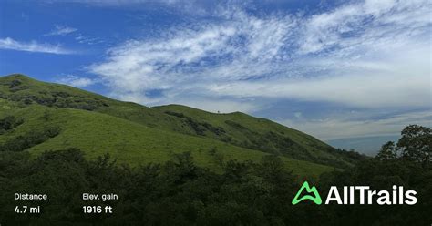 Netravati Peak Trek, Karnataka, India - 7 Reviews, Map | AllTrails