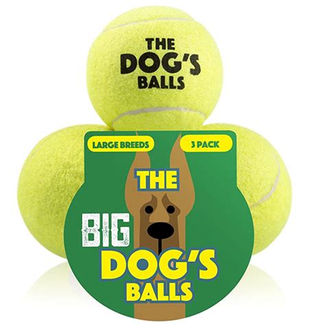 The Big Dog's Balls - 3 Strong Large Dog Tennis Balls – The Dog's Balls