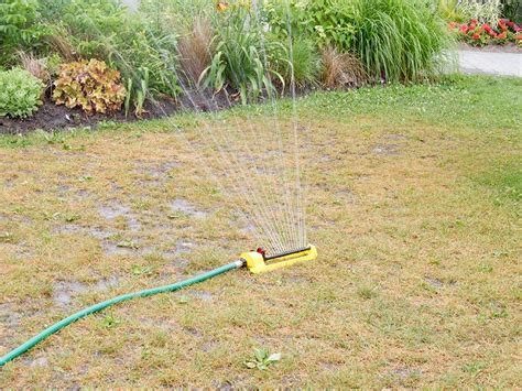 Watering Lawns During Drought Conditions | North City Water District