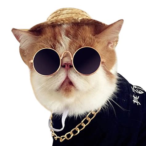 Fashion Cat Sunglasses Pet Accessories Funny Dogs Cats Glasses Grooming Supplies 5 Colors 35 P1 ...