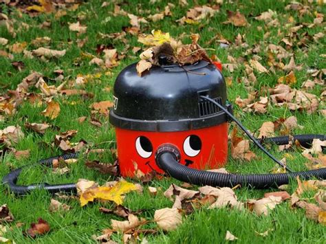 6 Best Leaf Vacuum Mulcher to Buy in 2023 [Reviews and Guide]