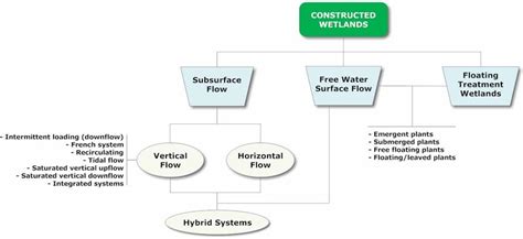 Classification of Constructed Wetlands. | Download Scientific Diagram