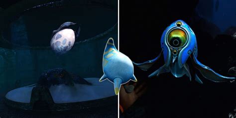 Subnautica below zero pet