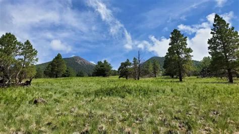 10 Best Trails and Hikes in Flagstaff | AllTrails