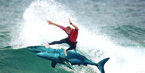 Mick Fanning shark attack memes