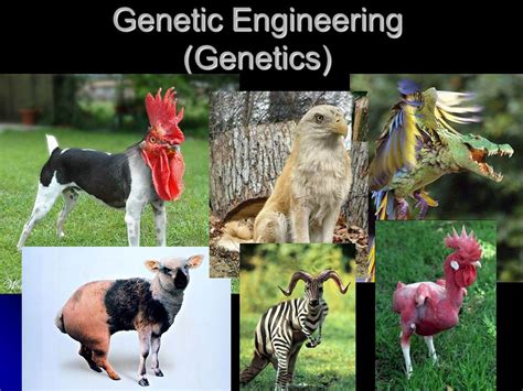 Genetically Engineered Animals