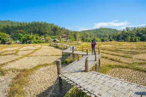 Premium Photo | Long bamboo bridge in pai, thailand