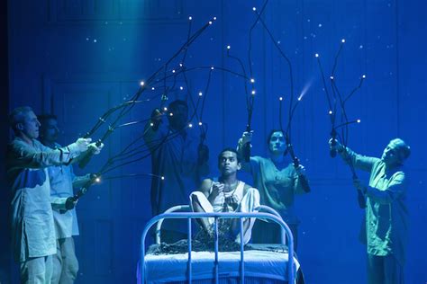 Life of Pi, Wyndham's Theatre review - visually ravishing show uplifted ...