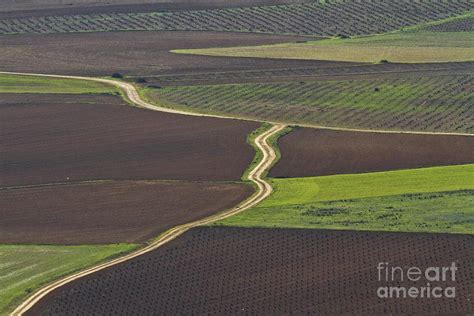 La Mancha Landscape - Spain Series-seis Photograph by Heiko Koehrer-Wagner