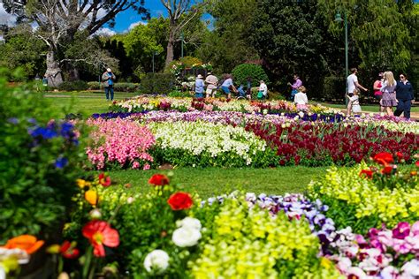 Toowoomba Carnival Of Flowers 2024 Toowoomba | Must Do Brisbane