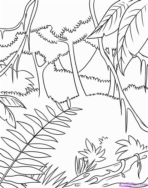 10 Pics Of Tropical Rainforest Plants Coloring Pages - Rainforest ... - Coloring Home