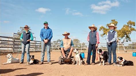 Muster Dogs: Training puppies to be working dogs - ABC TV | Bendigo ...