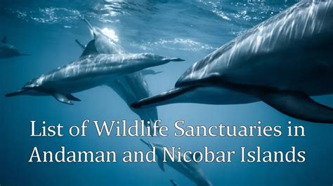 List of Wildlife Sanctuaries in Andaman and Nicobar Islands - Aryan Go