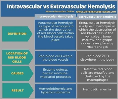 Intravascular vs Extravascular Hemolysis - Tabular Form | String theory ...