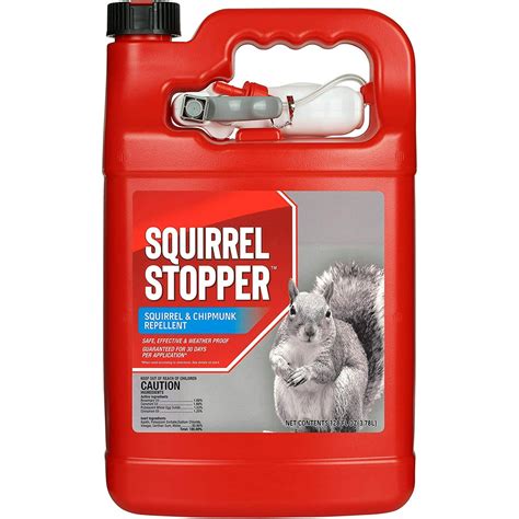 Squirrel Stopper Repellent - Safe & Effective, All Natural Food Grade ...