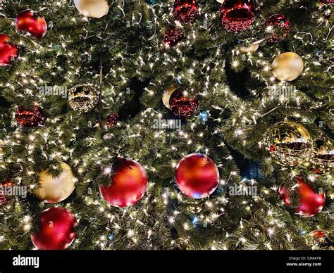 Salerno Christmas lights Stock Photo - Alamy