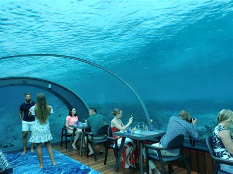 I Dined Inside The World's Largest All-Glass Underwater Restaurant