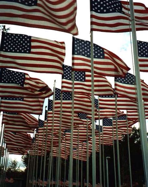 Pin by Gail on American USA Flag | American flags for sale, American ...