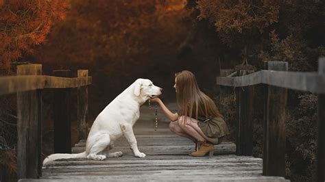 1920x1080 Labrador Retriever With Cute Girl Laptop Full HD 1080P HD 4k ...