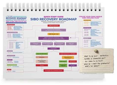 Webinar Thank You and replay Essential Concepts of SIBO / IMO Treatment ...