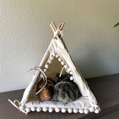 Guinea Pig Bed, Guinea Pig Teepee, Rat Bed, Chinchilla Bed | Diy guinea ...