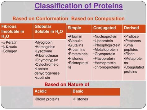 Structure, functions and folding problems of protein