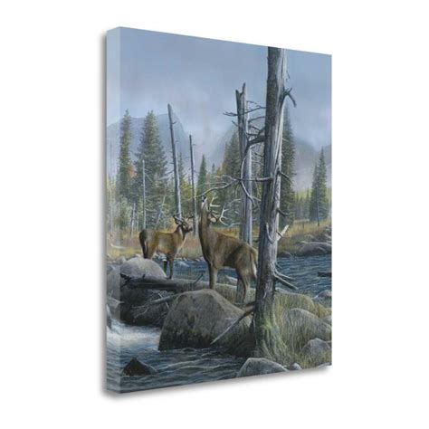 Tangletown Fine Art 32-in H x 28-in W Animals Print on Canvas in the ...