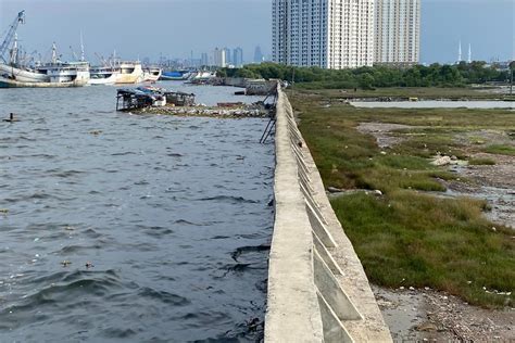 Miris, Tanggul Laut Muara Baru yang Retak Hanya Ditambal Batu Seadanya ...