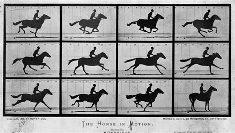 Today in History, June 15, 1878: Photographs capture galloping horse in ...