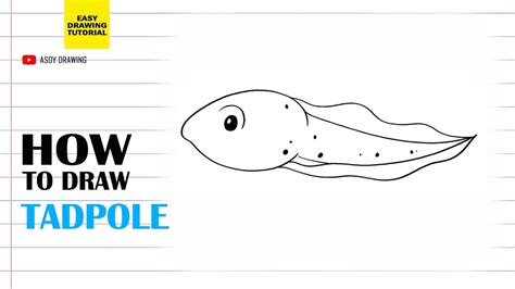 How to draw Tadpole Easy - YouTube