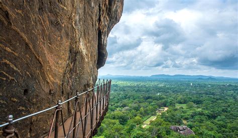 Safari to Water Garden Sigiriya with Africa Travel Resource