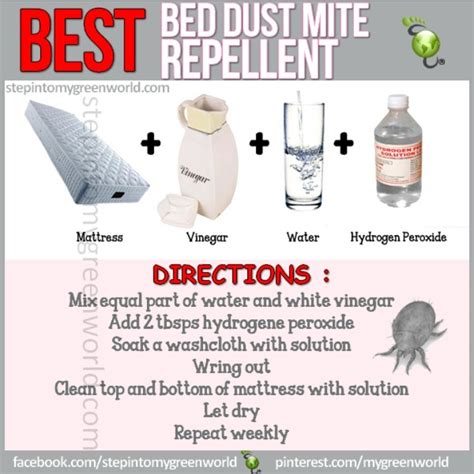 Bed dust mite repellant | Cleaning | Pinterest