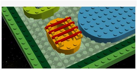 Animal Cell Model Diagram Project Parts Structure Labeled - Lego Plant ...