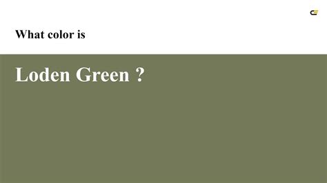 Loden Green color #747a59 hex color - Green color - Cool color 747a59 - YouTube