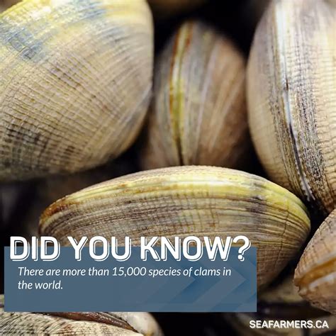 AANS | Sea Farmers on Twitter: "#DidYouKnow? There are more than 15,000 ...