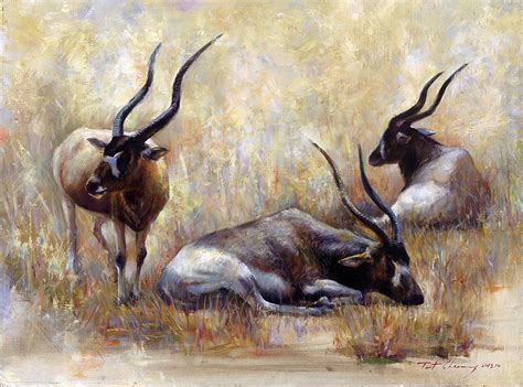 Images Antelope Horns Animals Painting Art