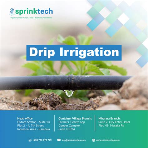 Drip Irrigation: Cultivating Sustainability in Agriculture for Maximum ...