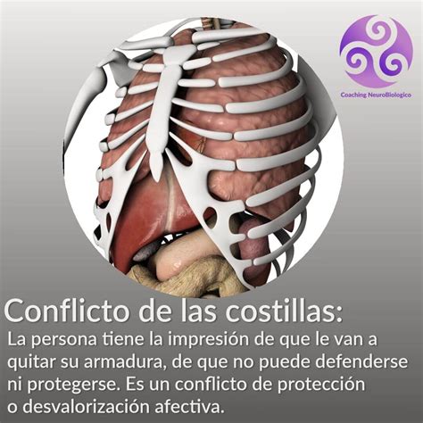 Conflicto de las costillas | Sanar las Heridas