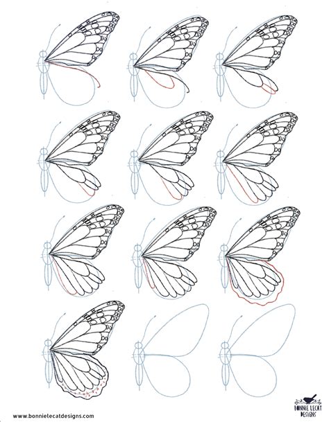 How To Draw A Realistic Butterfly