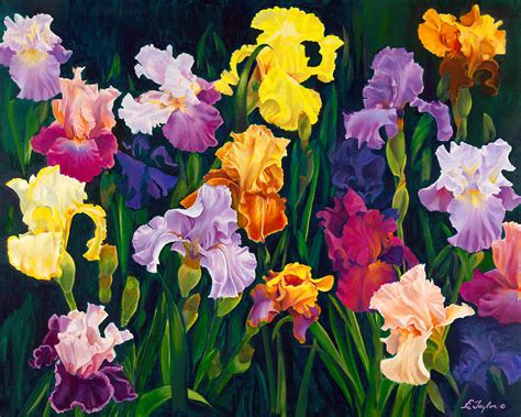 Iris Garden Painting by E Taylor - Fine Art America