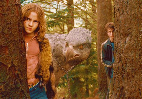 Harry, Hermione, and Buckbeak - Harry and Hermione Photo (31751920) - Fanpop