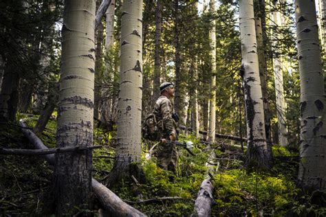 How to Get Started With Bow Hunting: 10 Tips for Beginners - The News Hub