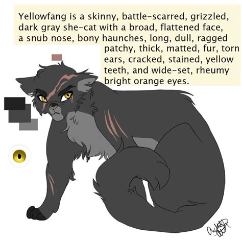 YellowFang by PureSpiritFlower.deviantart.com on @DeviantArt | Warrior ...