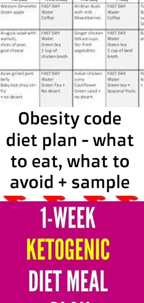 Dr Jason Fung Intermittent Fasting Meal Plan Spin Camnet | Printable Diet Plan