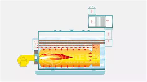 The Comparison Guide to Water Tube and Fire Tube Boiler