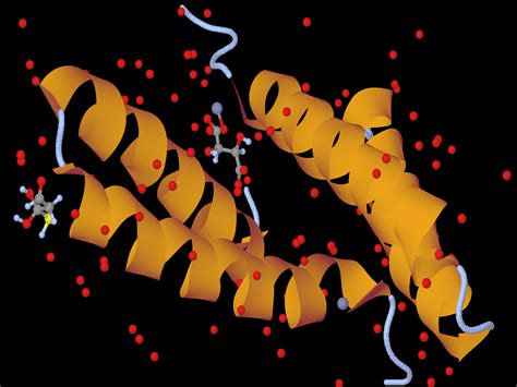 The Basics of Protein Structure and Function - Interactive Biology, with Leslie Samuel