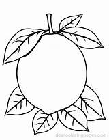 Lemon Coloring Pages  8 Free Printable sketch template