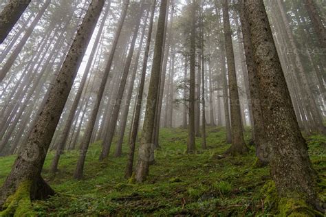 the austrian alps 27261878 Stock Photo at Vecteezy