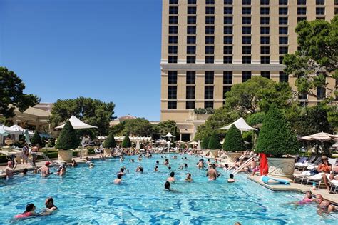 Bellagio Las Vegas Pool: An Honest Review - California Family Travel